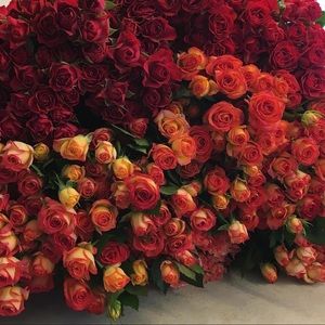 Meet your Posher, Mona